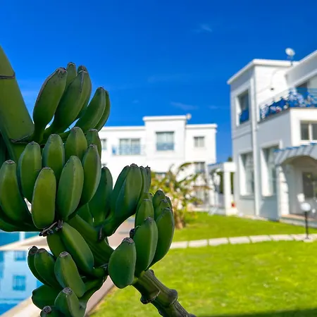 Garden Loft With Pool In Alsancak Kyrenia By Holidaykeys * Кирения