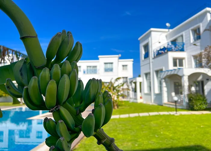 Garden Loft With Pool In Alsancak Kyrenia By Holidaykeys * Girne